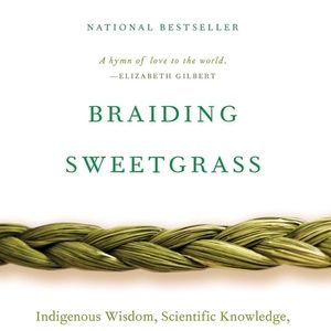 Braiding Sweetgrass (used paperback book)